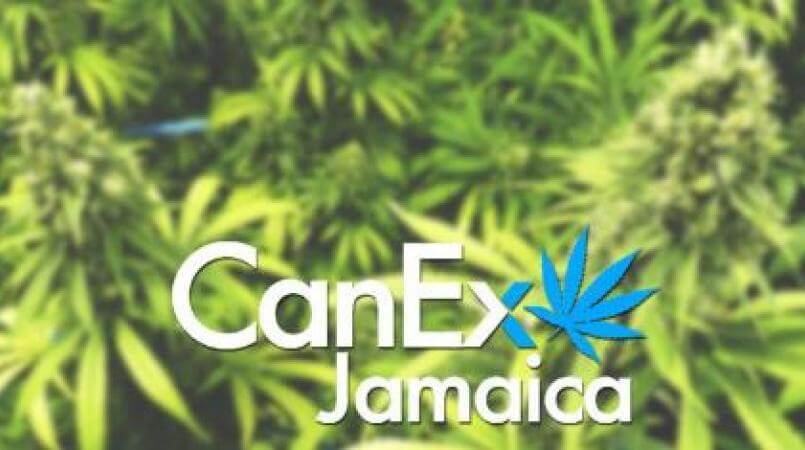 canex-jamaica-1