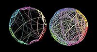 Homological Scaffolds