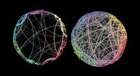 Homological Scaffolds