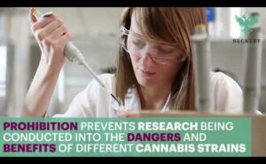 Cannabis Legalisation UK Video