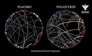 Psychedelics Create New Communication Pathways In The Brain ( Homological Scaffolds )