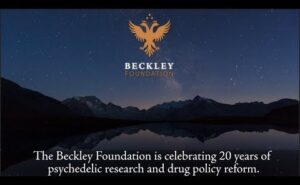 Celebrating 20 Years of Psychedelic Research and Drug Policy Reform
